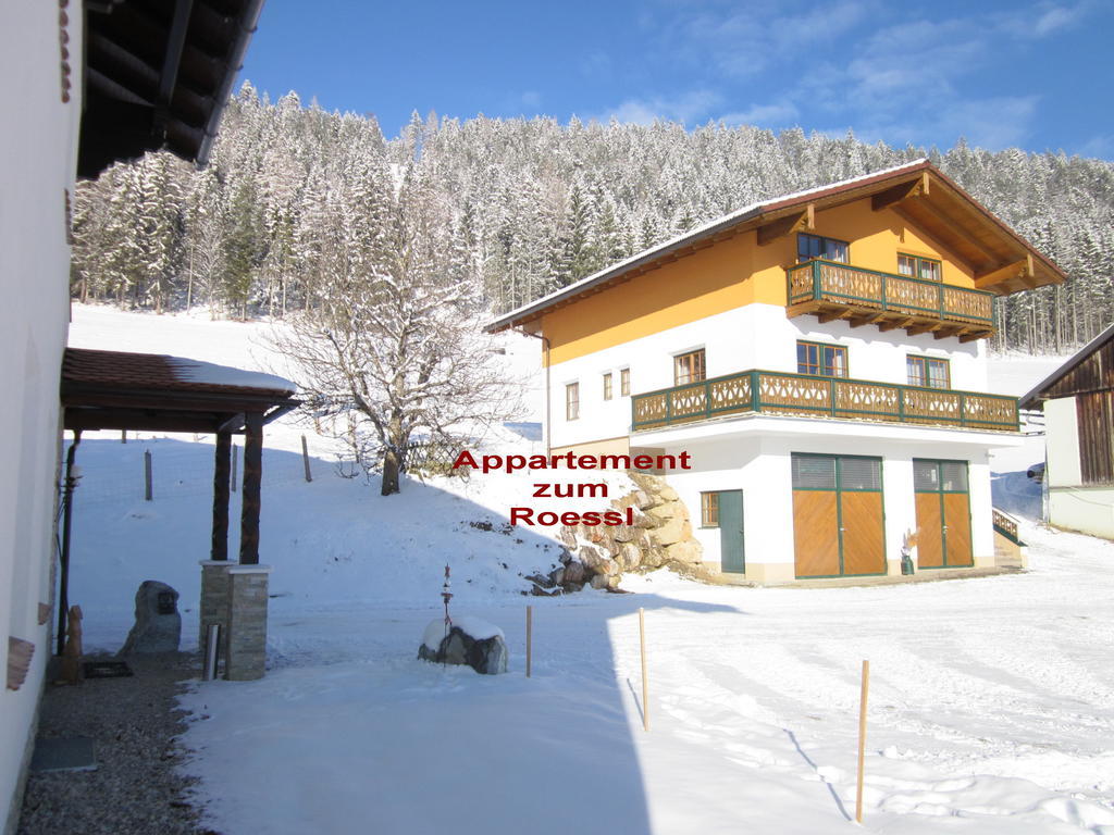 Appartement Zum Roessl Ramsau am Dachstein Camera foto