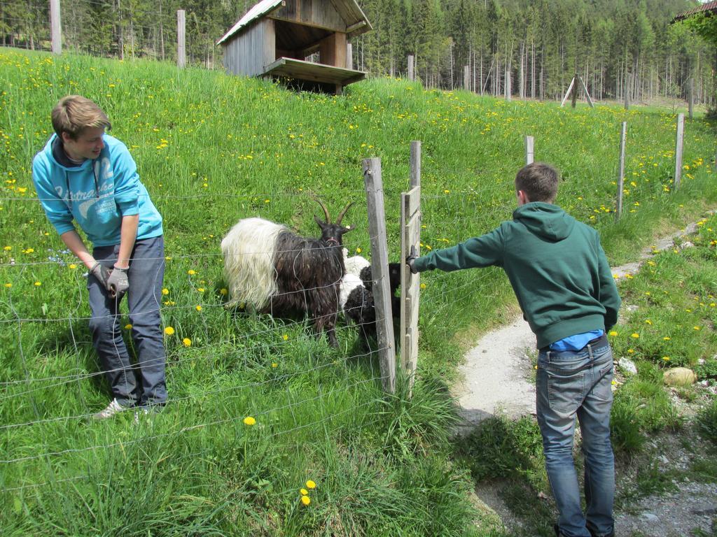 Appartement Zum Roessl Ramsau am Dachstein Esterno foto