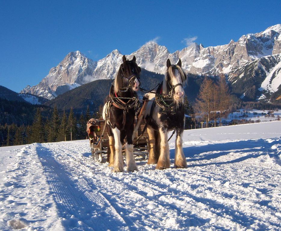 Appartement Zum Roessl Ramsau am Dachstein Esterno foto